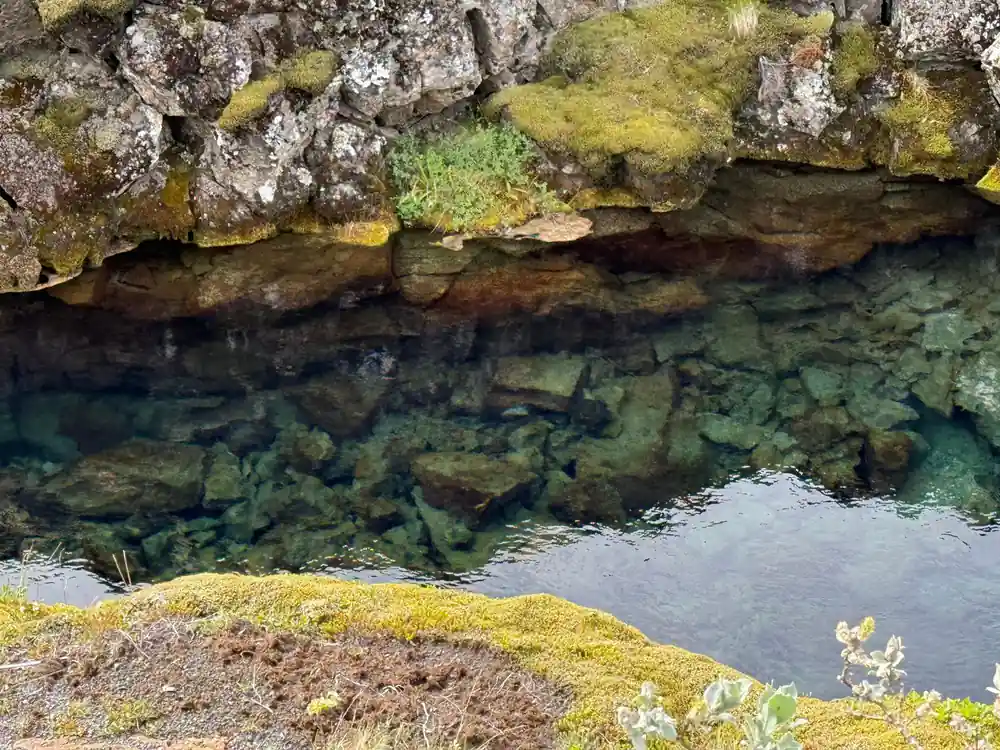 Clear water pool between moss-covered rock formations