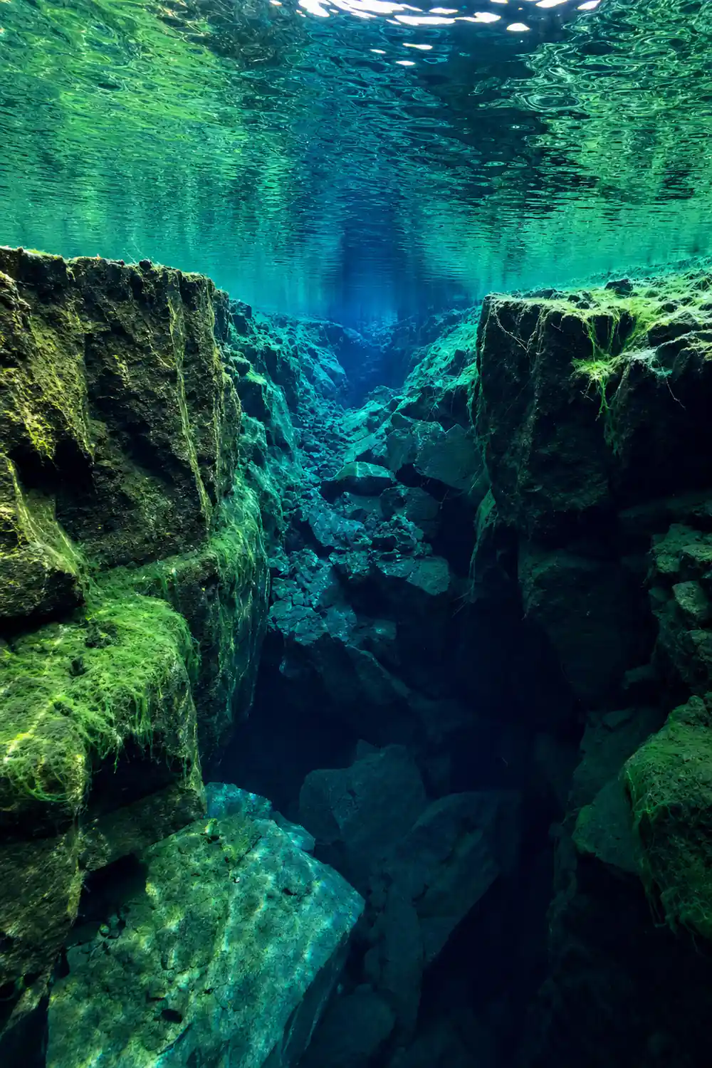 Deep underwater canyon between moss-covered vertical rock walls