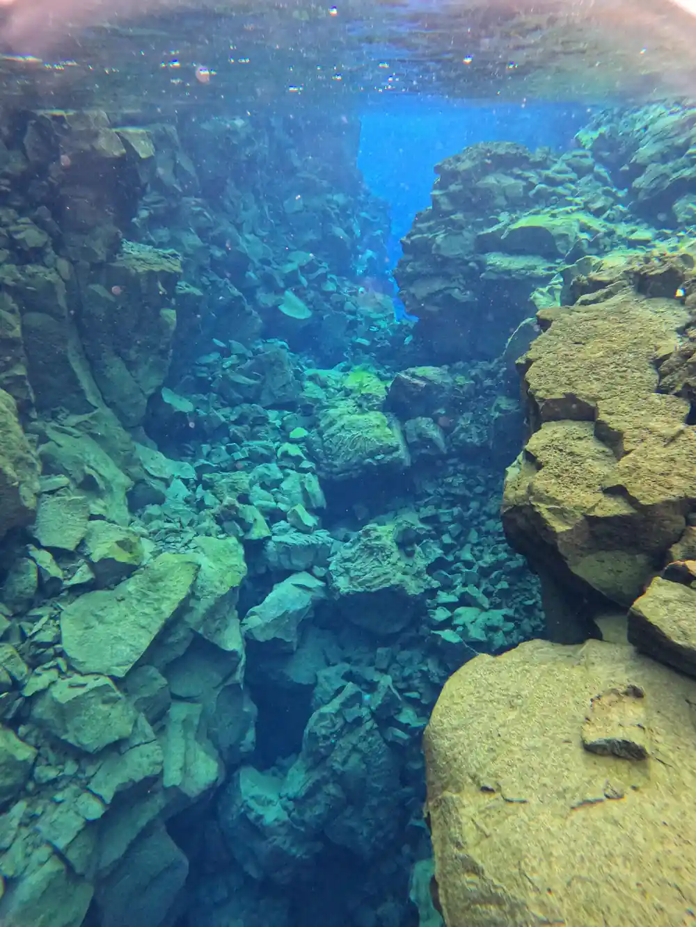 Deep underwater crevasse between tall green rock walls