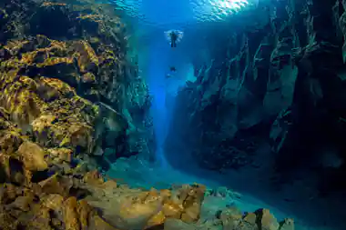 Divers exploring underwater canyon with golden rock formations