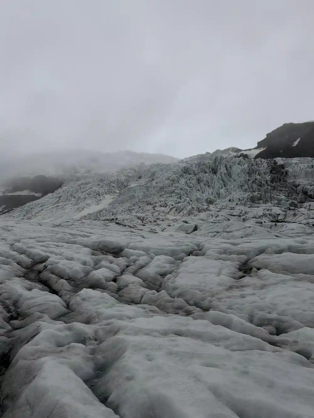 Gray cracked glacier or lava field with sparse vegetation