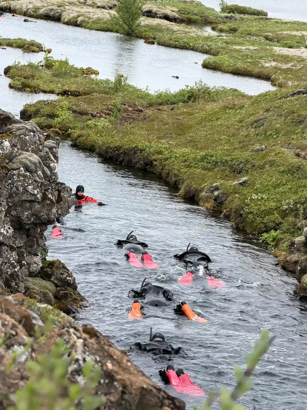 Group of snorkelers in water between moss-covered rocks