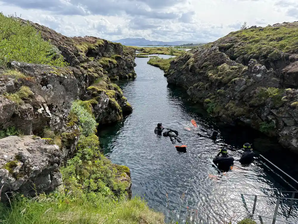 Multiple divers in water between moss-covered canyon rock walls