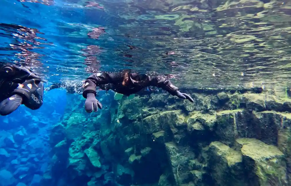 Snorkelers swimming in clear water above moss-covered rocks